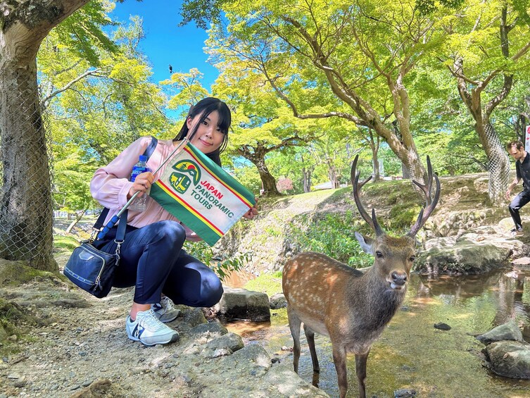 Historical Nara & Kyoto 1-Day Bus Tour