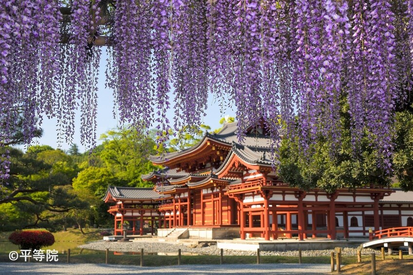 Historical Nara & Kyoto 1-Day Bus Tour
