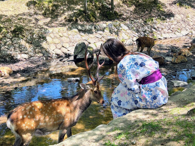 Historical Nara & Kyoto 1-Day Bus Tour