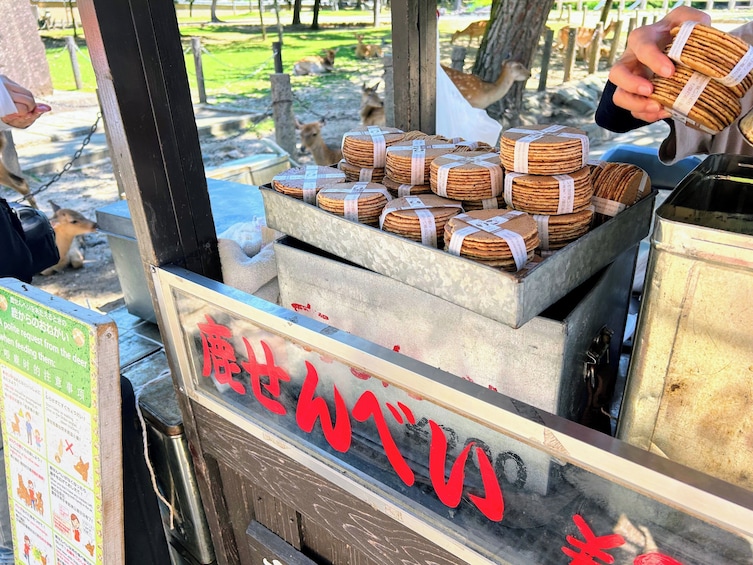 Historical Nara & Kyoto 1-Day Bus Tour