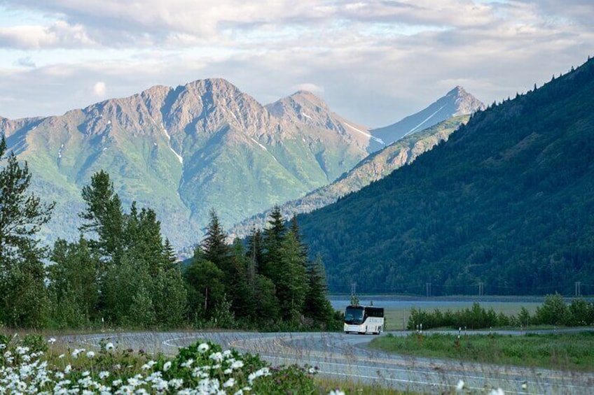 Anchorage to Whittier Wildlife Adventure