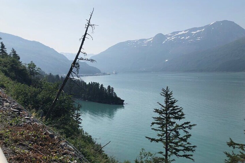 Anchorage to Whittier Wildlife Adventure