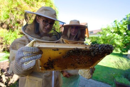 All About Bees Tour from Ljubljana