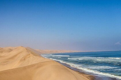 Klassieke Sandwich Harbor-ervaring volledige dag