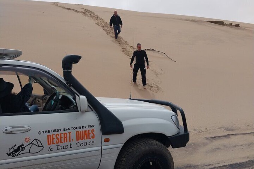 Enjoying Dune walks