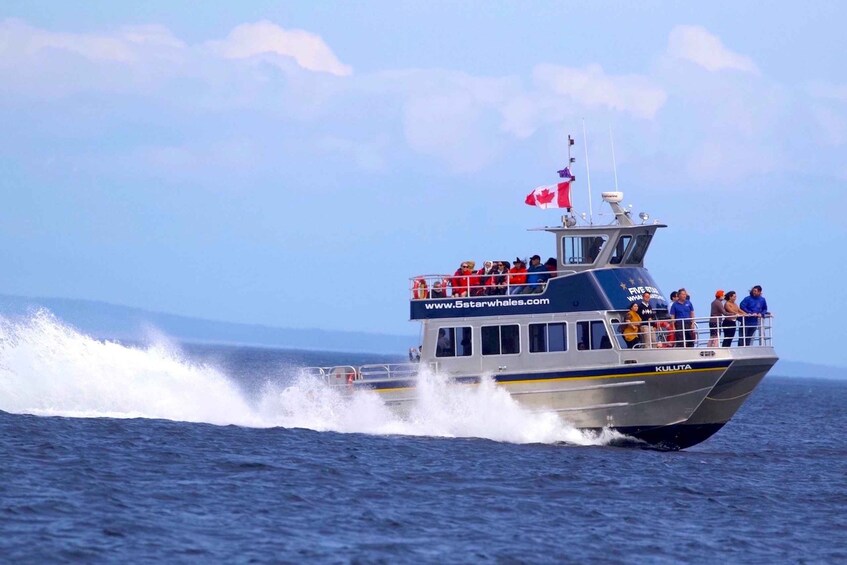 Picture 4 for Activity Whale Watching Tour in Victoria, BC