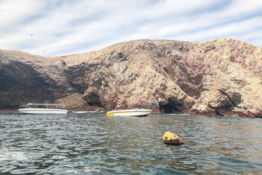 Picture 17 for Activity Paracas: Ballestas Islands Morning Boat Tour