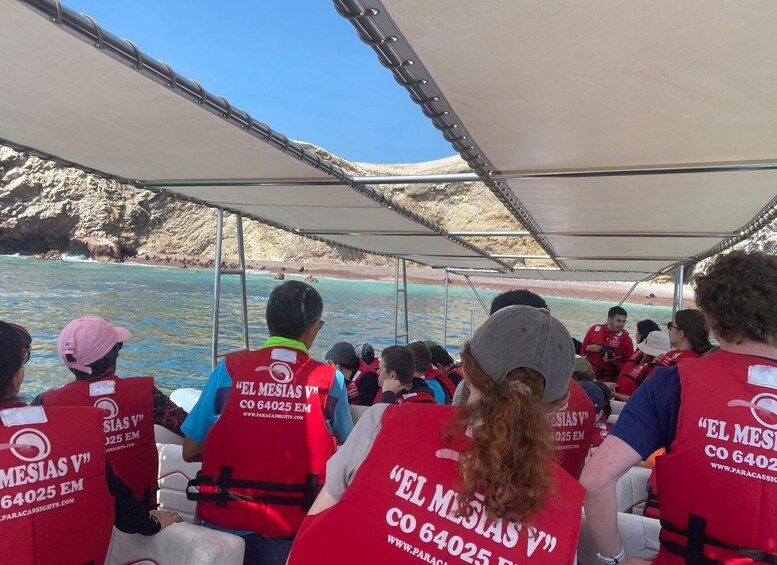 Picture 18 for Activity Paracas: Ballestas Islands Morning Boat Tour