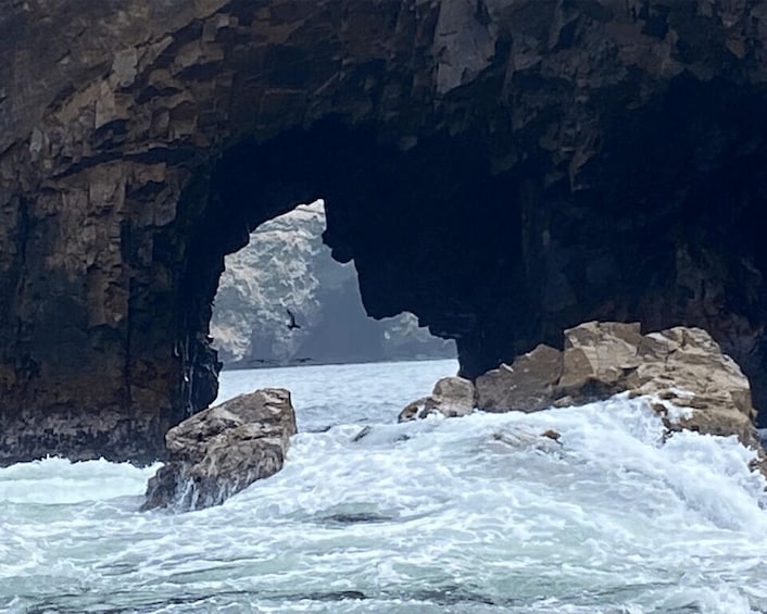 Picture 6 for Activity Paracas: Ballestas Islands Morning Boat Tour