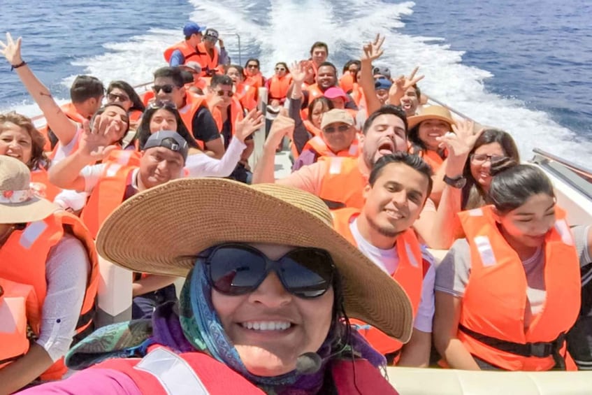 Picture 4 for Activity Paracas: Ballestas Islands Morning Boat Tour