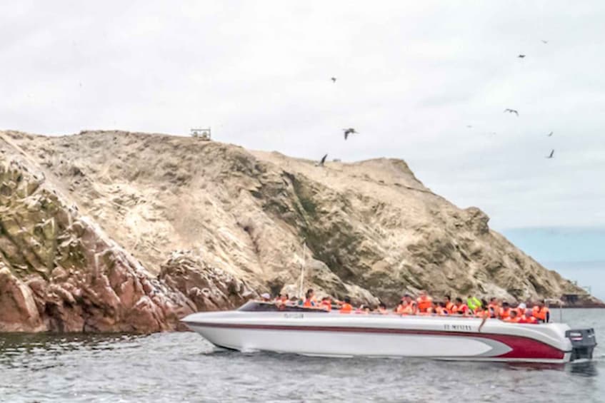 Picture 9 for Activity Paracas: Ballestas Islands Morning Boat Tour