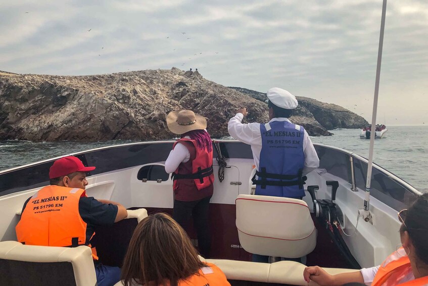 Picture 13 for Activity Paracas: Ballestas Islands Morning Boat Tour