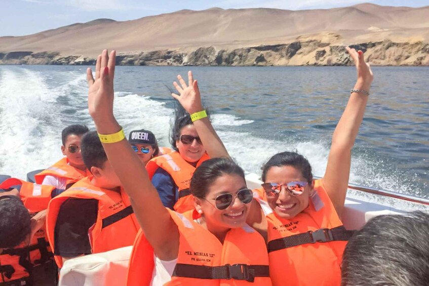 Picture 3 for Activity Paracas: Ballestas Islands Morning Boat Tour