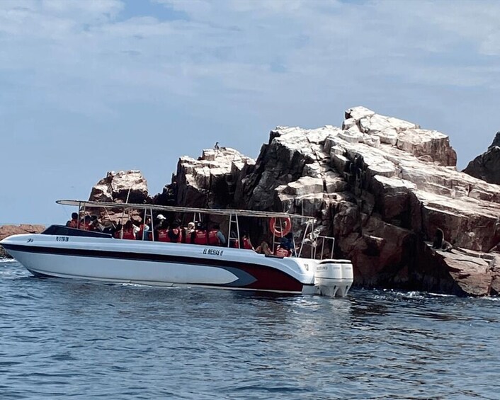 Picture 8 for Activity Paracas: Ballestas Islands Morning Boat Tour