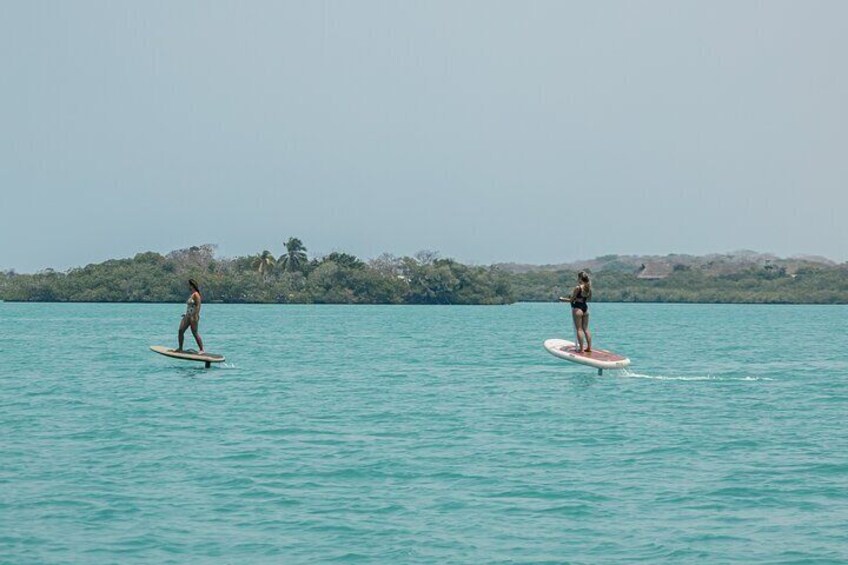 Flitescooter Cholon Baru COLOMBIA EFOIL FLITEBOARD