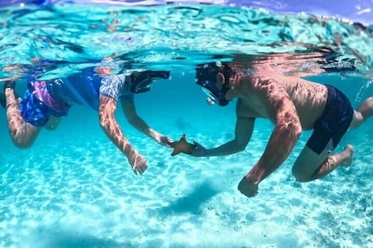 Excursión en grupo privado a 3 islas (4 horas)