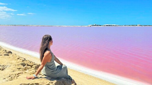 Rio Lagartos - Las Coloradas med frokostdagstur