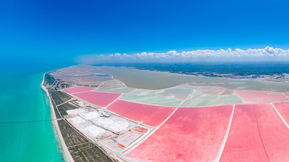 Rio Lagartos - Las Coloradas with Lunch Day Trip