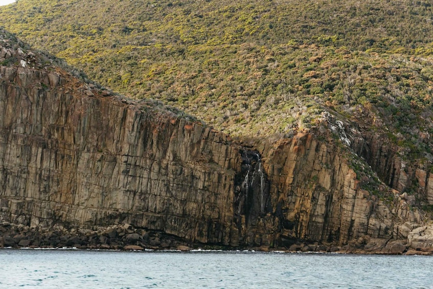 Picture 13 for Activity From Port Arthur: Tasman Island Wilderness Cruise