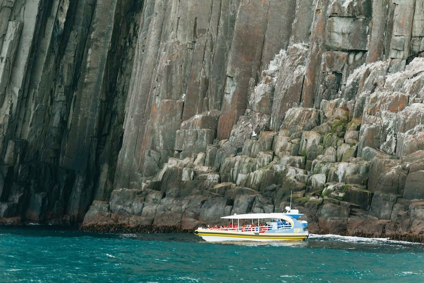 Picture 10 for Activity From Port Arthur: Tasman Island Wilderness Cruise