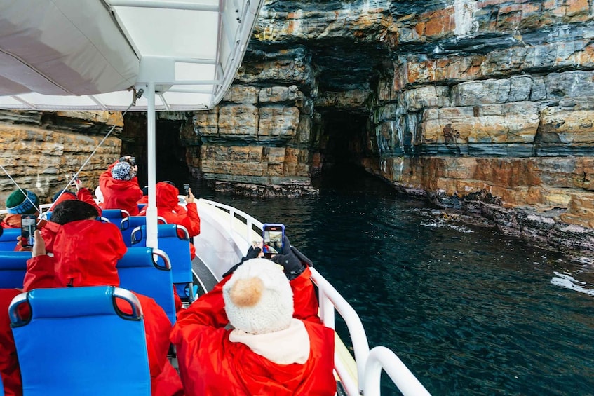 Picture 3 for Activity From Port Arthur: Tasman Island Wilderness Cruise