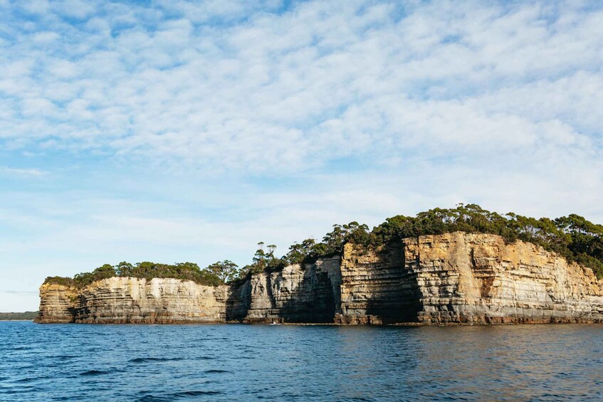 Picture 6 for Activity From Port Arthur: Tasman Island Wilderness Cruise