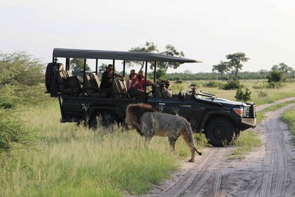 ジンバブエ、ビクトリアの滝からのチョベ日帰り旅行