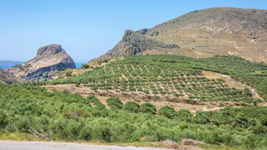 Tour of Western Crete with Winery and Olive Oil Estate