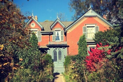 Fame and Folly in Victorian Cabbagetown