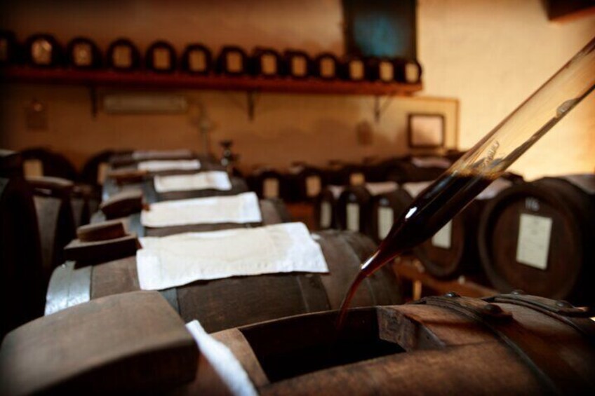 Gourmet visit and tasting of DOP and organic balsamic vinegar