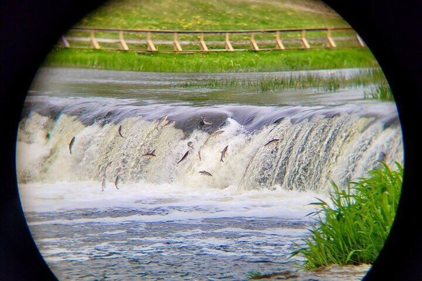 Private Tour Medieval Gems of Kuldīga Sabile and Kandava Towns