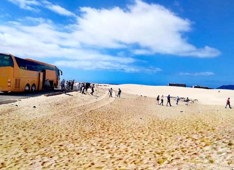 Picture 7 for Activity Fuerteventura: Corralejo Sand Dunes for Cruise Passengers