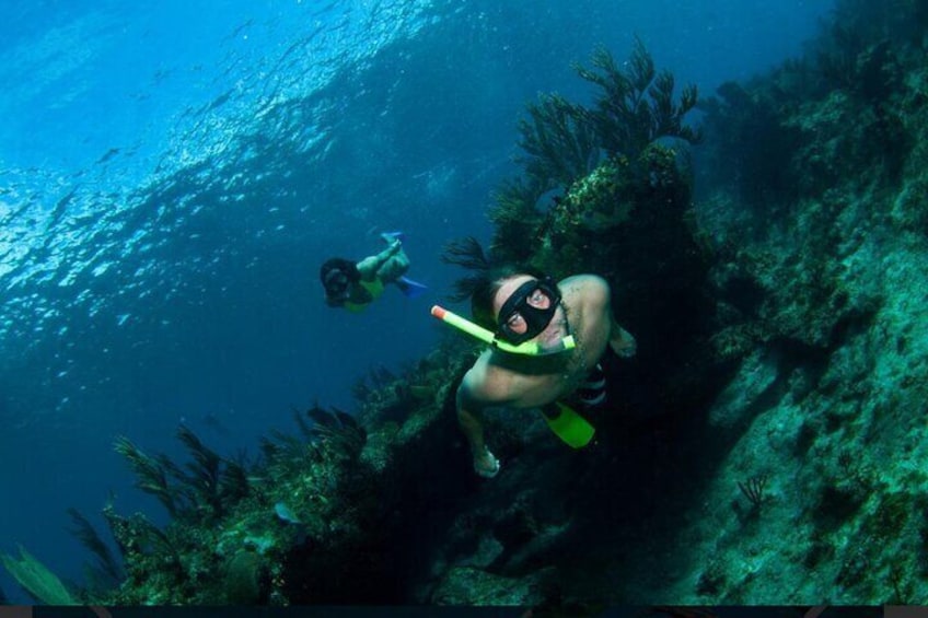 3HR Emerald reef snorkeling, iguana island and shipwreck tour