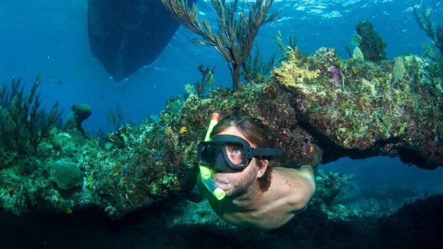 3HR Emerald reef snorkeling, iguana island and shipwreck tour