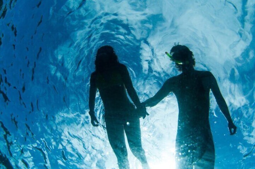 3HR Emerald reef snorkeling, iguana island and shipwreck tour