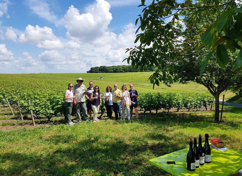 Picture 1 for Activity From Tours: Villandry, Azay-le-Rideau & Vouvray Winery