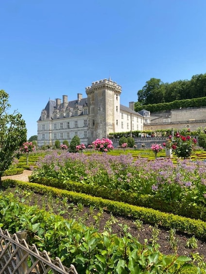 Picture 4 for Activity From Tours: Villandry, Azay-le-Rideau & Vouvray Winery