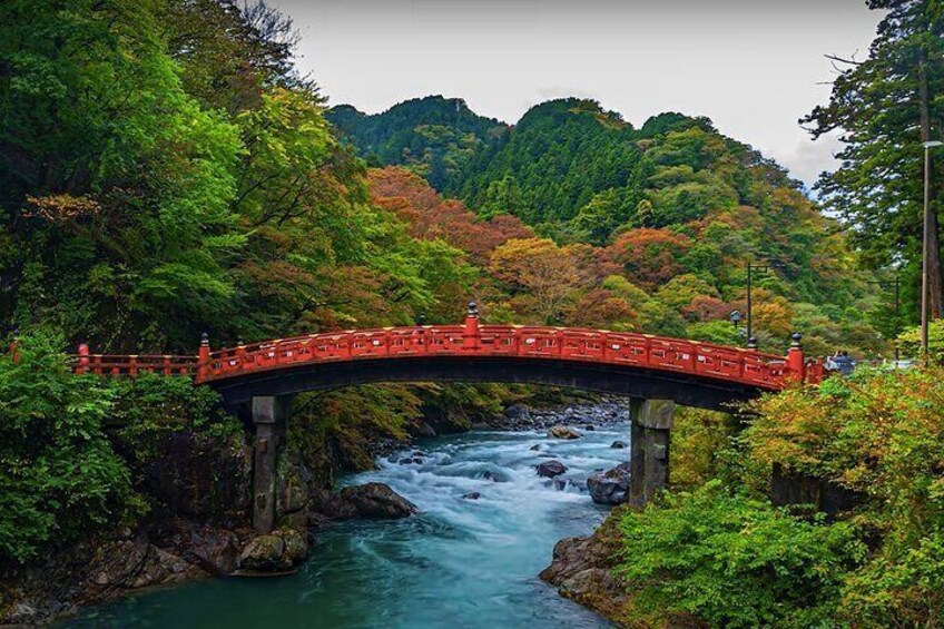 From Tokyo Nikko Sightseeing Private Day Tour of UNESCO Heritage