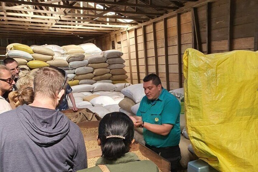 Tour guide briefing at Doka Coffee PLantation