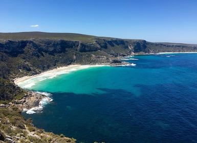 Kangaroo Island: tour panoramico, naturalistico e faunistico