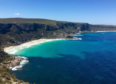 Kangaroo Island: Scenic, Nature & Wildlife Tour