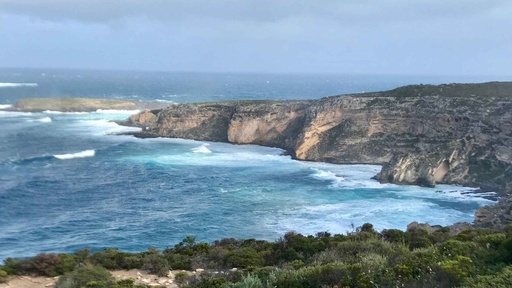 Picture 6 for Activity Kangaroo Island: Scenic, Nature & Wildlife Tour