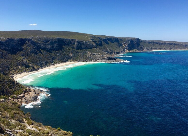 Kangaroo Island: Scenic, Nature & Wildlife Tour