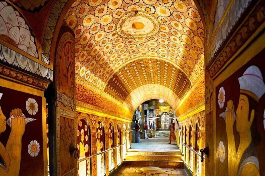 8 Days Discovery Roundtour Sri Lanka