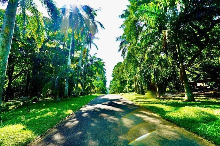 8 Days Discovery Roundtour Sri Lanka