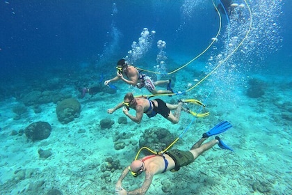 1 Hour Guided Snuba East Coast Diving in Curacao