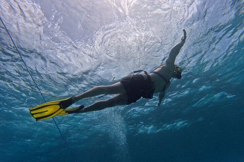 1 Hour Guided Snuba East Coast Diving in Curacao