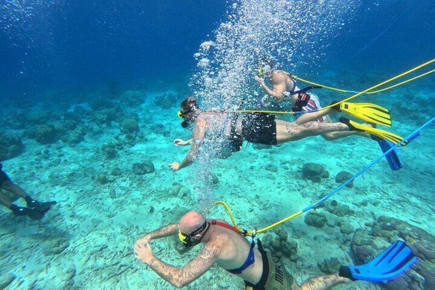 1 Hour Guided Snuba East Coast Diving in Curacao