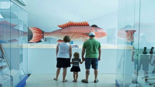 Toronto: Royal Ontario Museum Special Exhibits Voucher