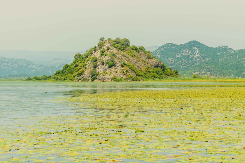 Picture 10 for Activity Lake Skadar: Guided Panoramic Boat Tour to Kom Monastery